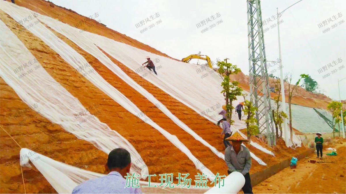 清連高速清遠段高速公路邊坡復(fù)綠工程 清連高速清遠段高速公路邊坡復(fù)綠工程