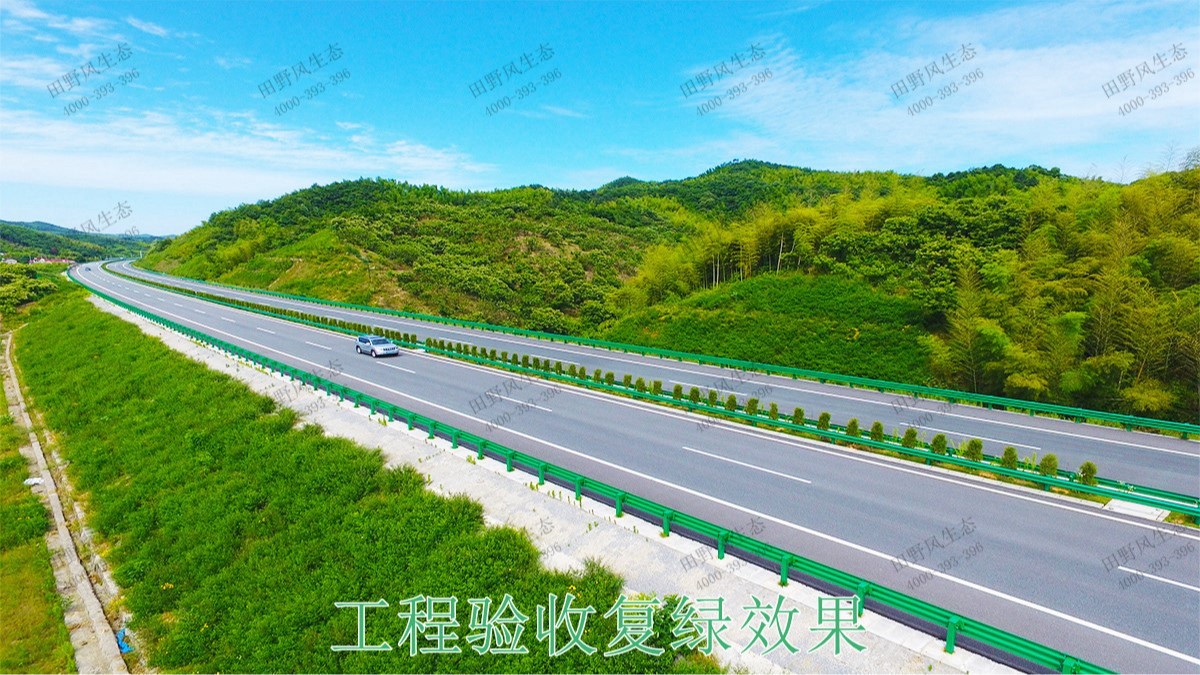 博深高速惠州段高速護坡復(fù)綠工程 博深高速惠州段高速護坡復(fù)綠工程