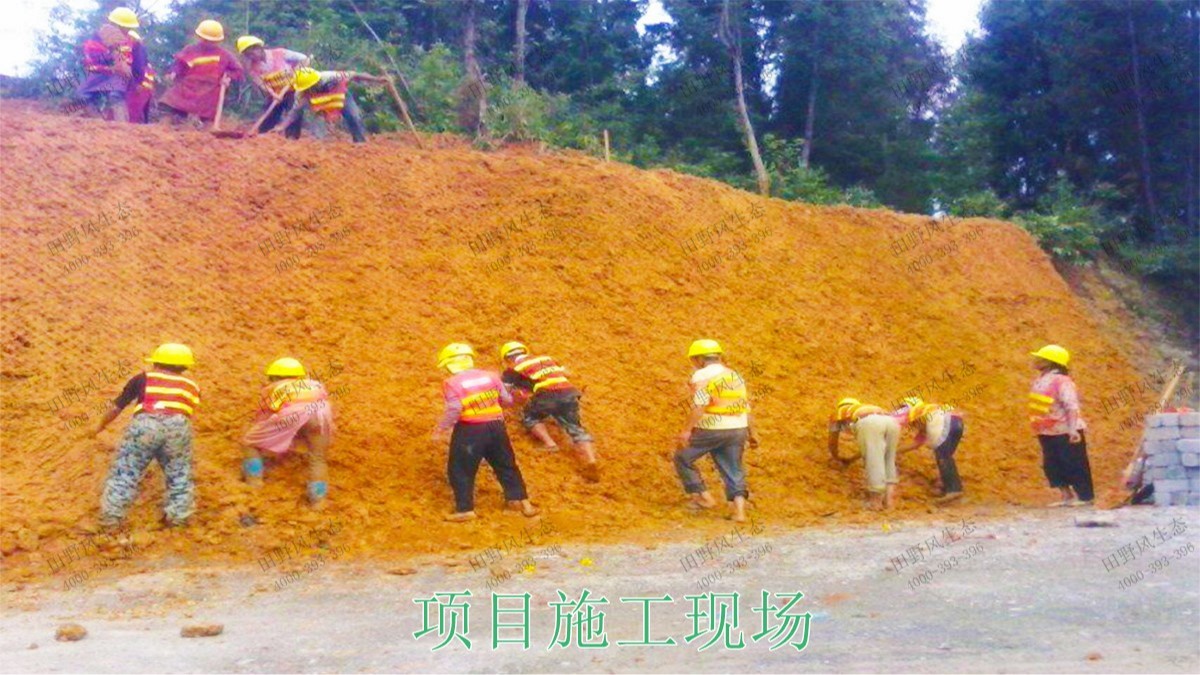 博深高速惠州段高速護坡復(fù)綠工程 博深高速惠州段高速護坡復(fù)綠工程