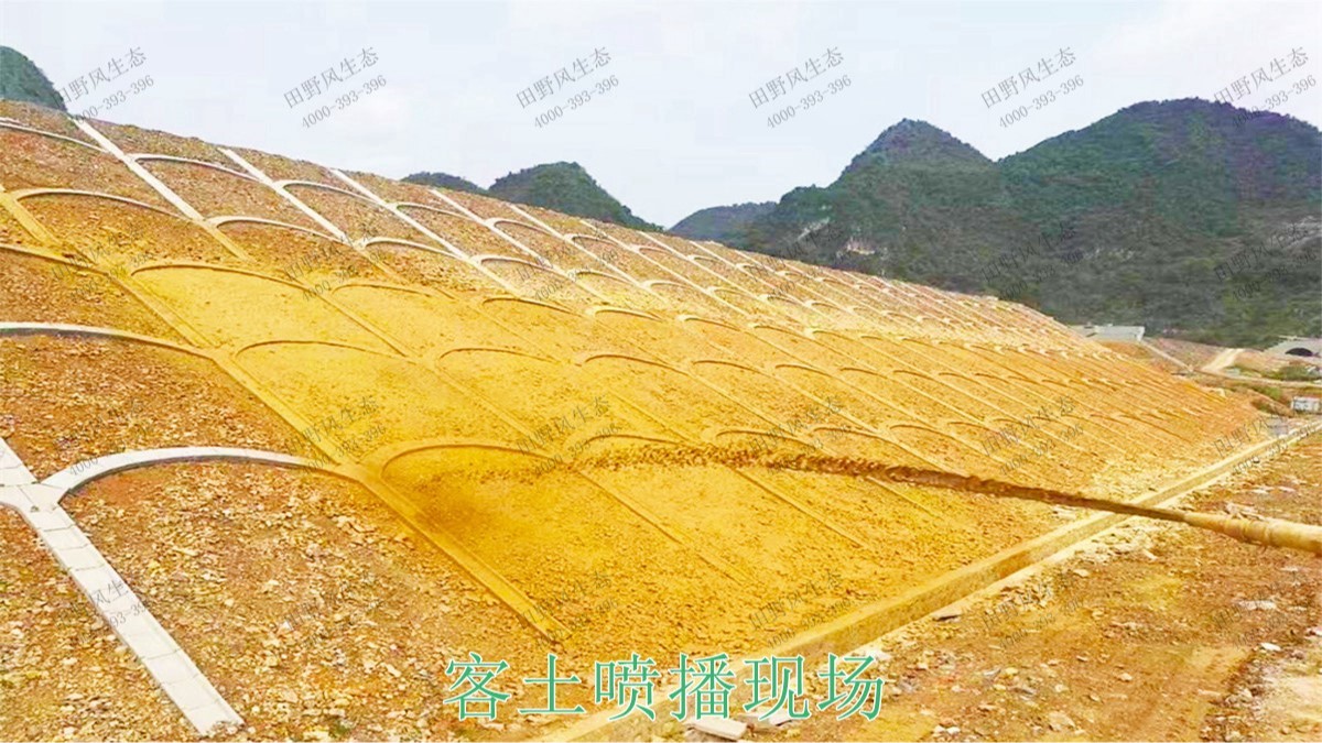 博深高速惠州段高速護坡復(fù)綠工程 博深高速惠州段高速護坡復(fù)綠工程