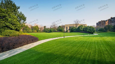 想要草坪長(zhǎng)得好，水肥管理是重點(diǎn)