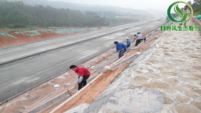 高速公路綠化，有哪些方法與竅門呢？