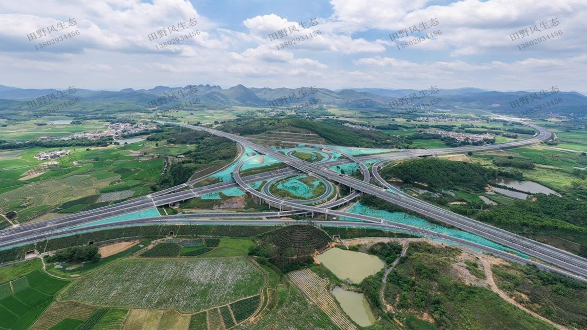 韶新高速邊坡綠化 韶新高速邊坡綠化