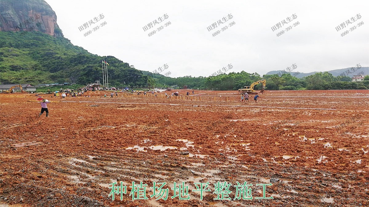 廣西北流銅石嶺4A景區(qū)花海設(shè)計(jì) 廣西北流銅石嶺4A景區(qū)花海設(shè)計(jì)