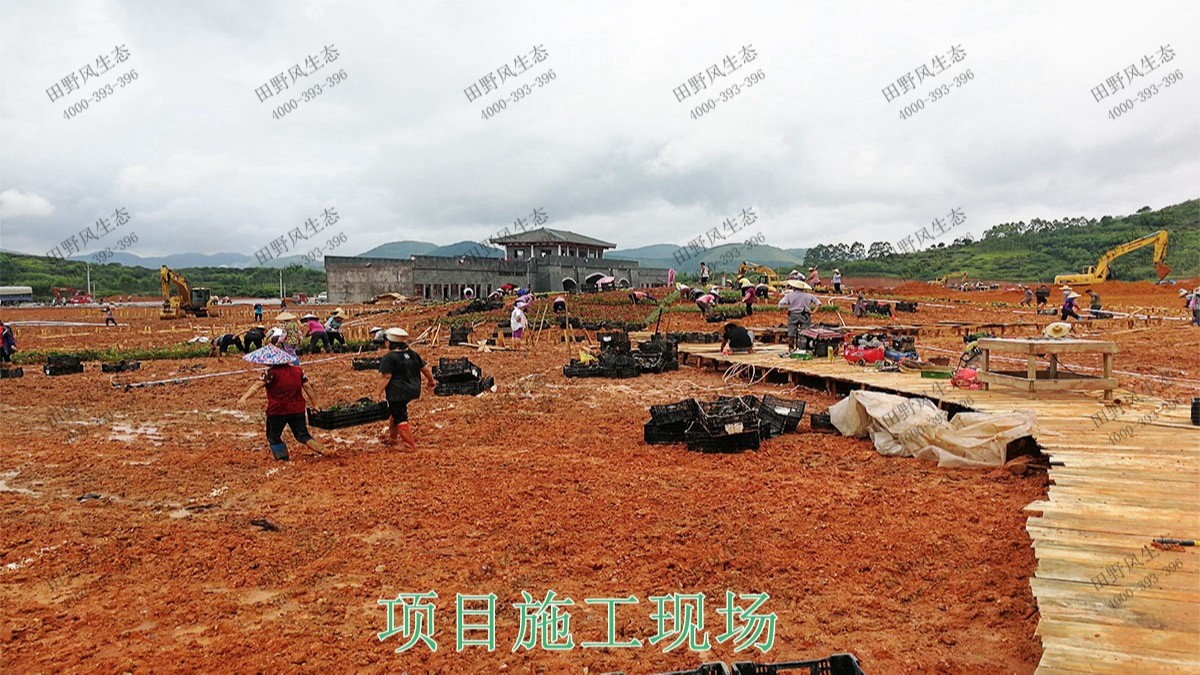 廣西北流銅石嶺4A景區(qū)花海設(shè)計(jì) 廣西北流銅石嶺4A景區(qū)花海設(shè)計(jì)