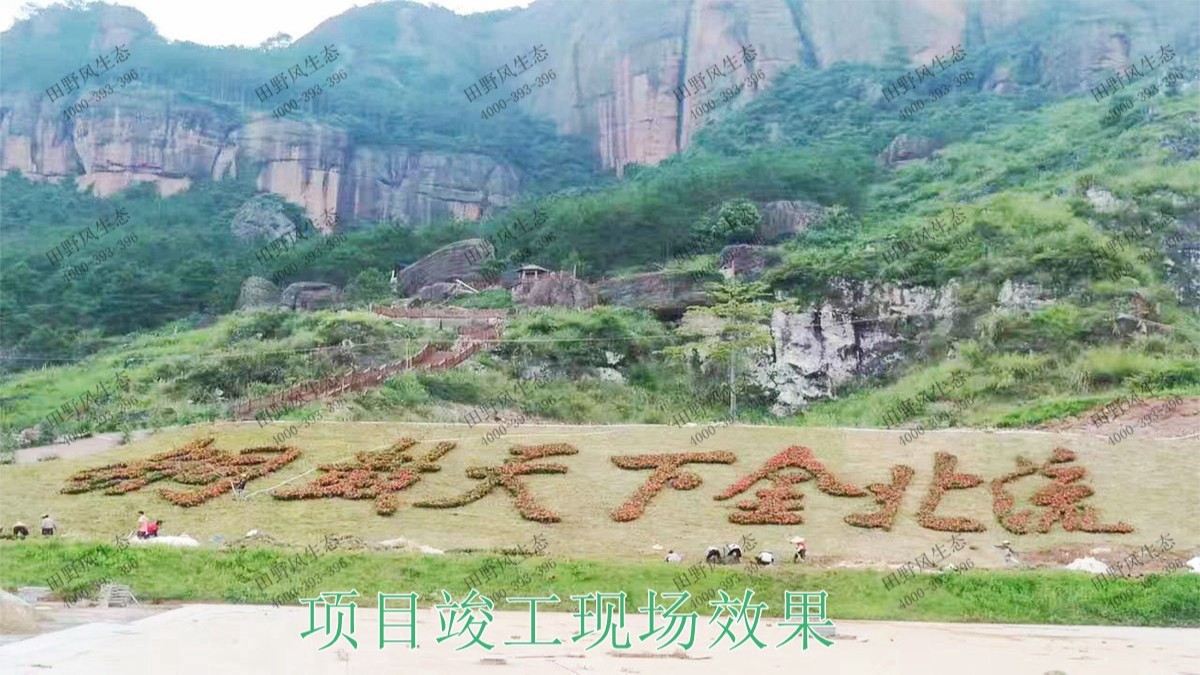 廣西北流銅石嶺4A景區(qū)花海設(shè)計(jì) 廣西北流銅石嶺4A景區(qū)花海設(shè)計(jì)